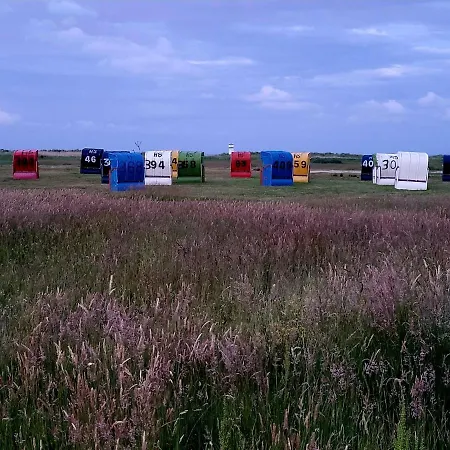 Apartment 49 6 S Blinkfüer Schillig