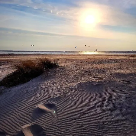 49 6 S Blinkfüer Schillig