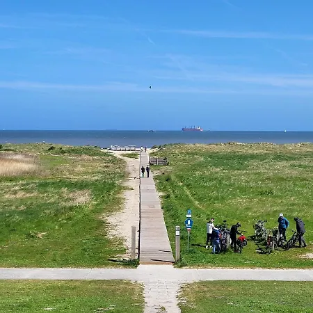 49 6 S Blinkfüer Schillig