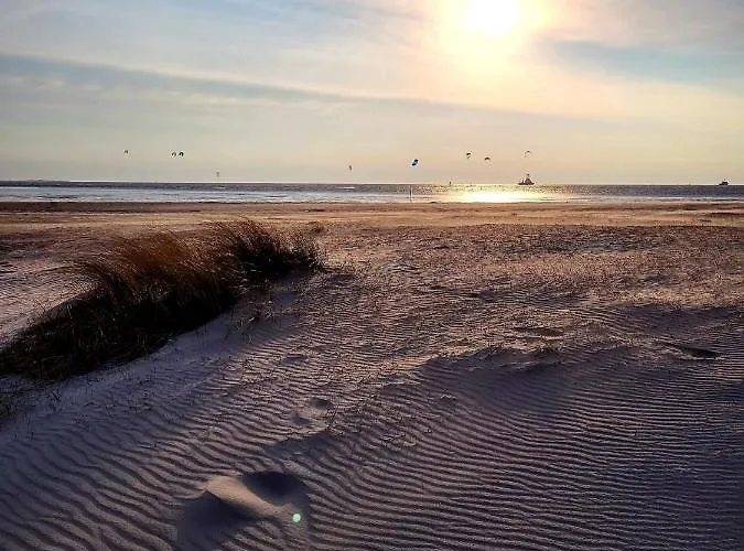 49 6 S Blinkfueer Schillig