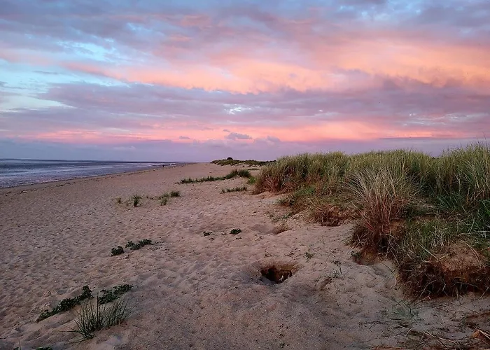 Lejlighed 49 6 S Blinkfueer *