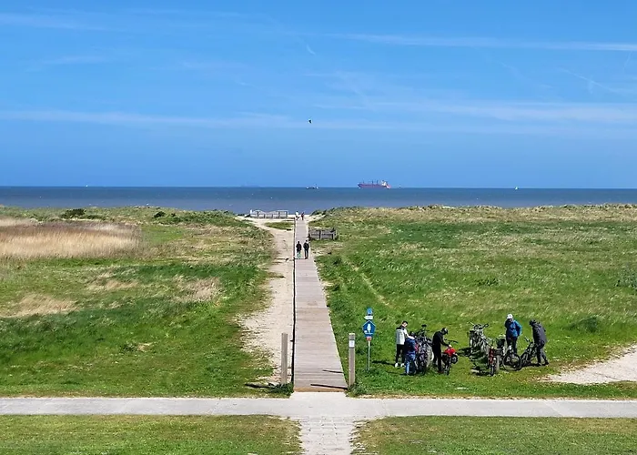 49 6 S Blinkfueer Schillig